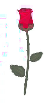 Single red rose with stem and leaves vector