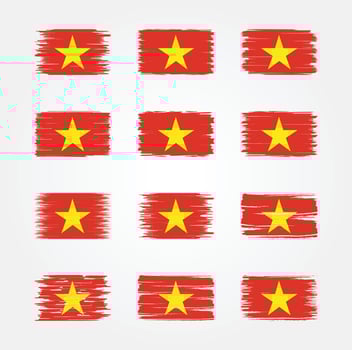 Vietnam Flag Brush Collections. National Flag vector