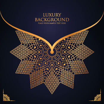creative professional ornamental mandala background template design vector
