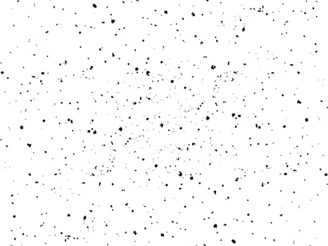 Grainy texture, black spots, specks, splashes, blotches on white background vector