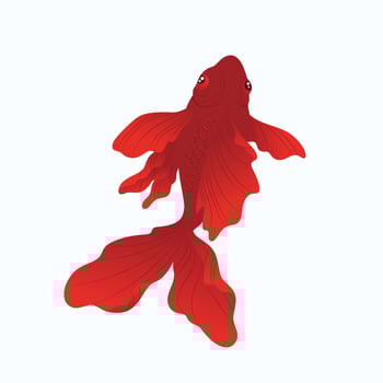 Koi fish illustration vector. koi fish logo design inspiration vector