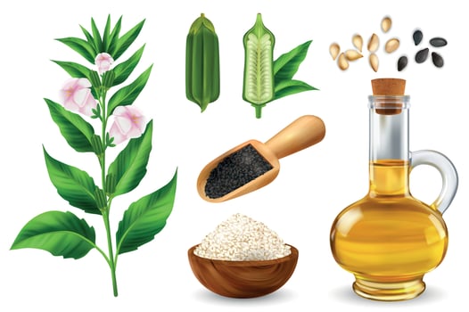 Sesame Realistic Set vector