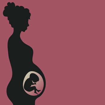 Pregnant woman with developing fetus vector