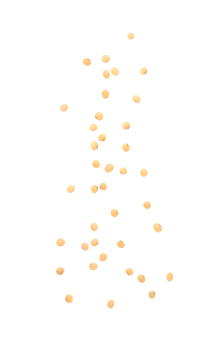Falling soybeans cutout, Png file