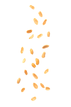 Falling salt peanuts cutout, Png file