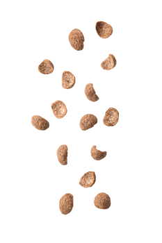 Falling cereal cutout, Png file
