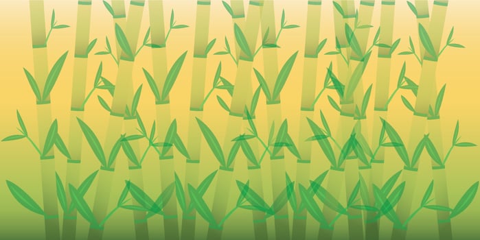 Bamboo Oriental Wallpapers. Tropical Asia Plant Background Bamboo Vector