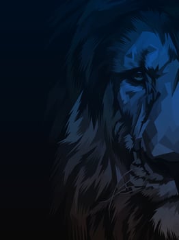 Vector of lion head illustration