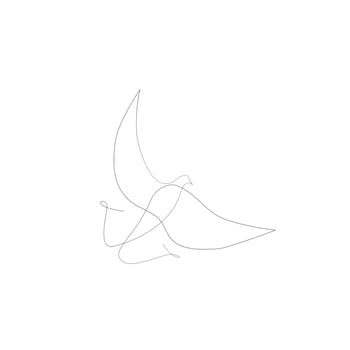 Flying bird continuous line drawing vector
