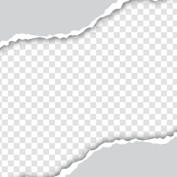Torn paper edge vector illustration. Teared, ripped photo, sheet or page texture.
