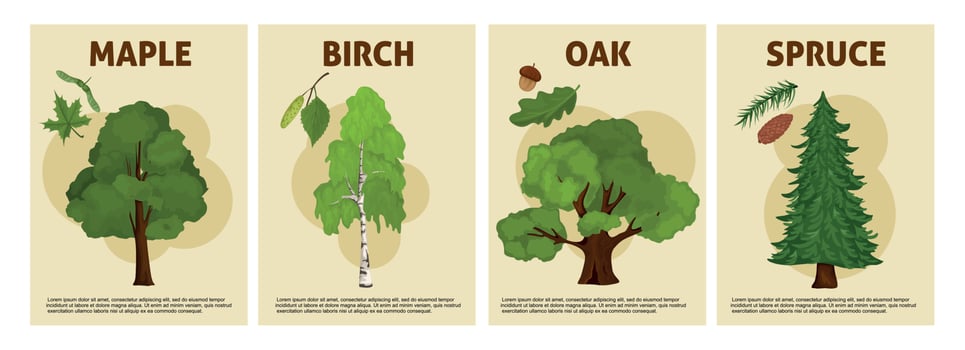 Trees Vertical Posters Set vector