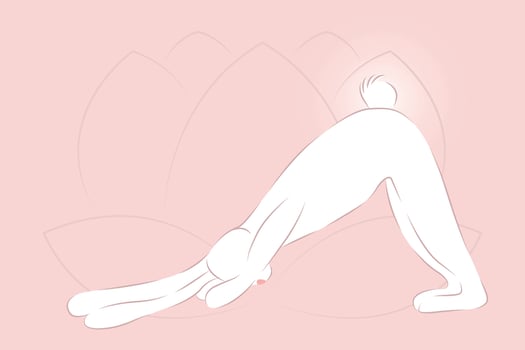 Yoga with Rabbit Adho Mukha Shvanasana Downward Dog Pose vector