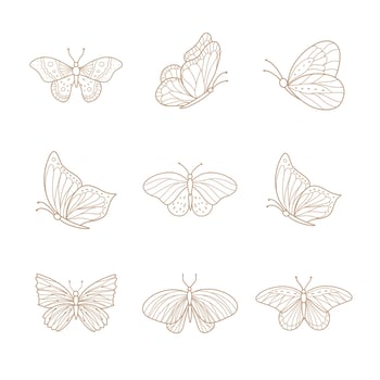 Set of hand drawn butterflies. Vector illustration