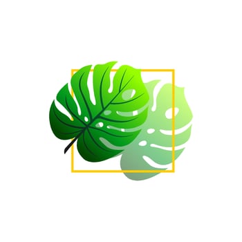 Tropical plant leaves logo. Monstera leaves logo design. Vector illustrations.