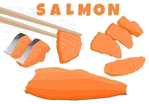 Fresh raw trout salmon fish set sliced piece, ingredient of fillet steak, Scandinavian Norwegian food, sashimi sushi Japanese style, Pescetarian seafood cooking, healthy nutrition meal. flat vector. vector