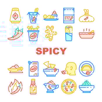 Spicy Dish Flavor Food Collection Icons Set Vector