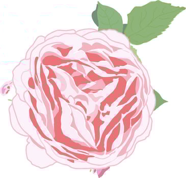 Flower outdoors. A bug in the sun. Bright rose pattern. Floral pink pattern. vector
