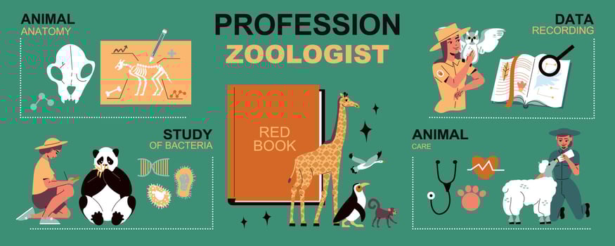 Profession Zoologist Infographics Layout vector