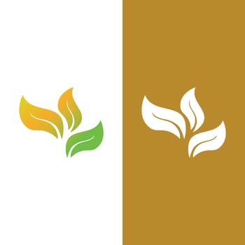 Logos of green Tree leaf ecology vector