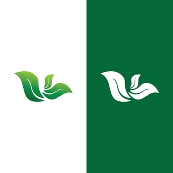 Logos of green Tree leaf ecology vector