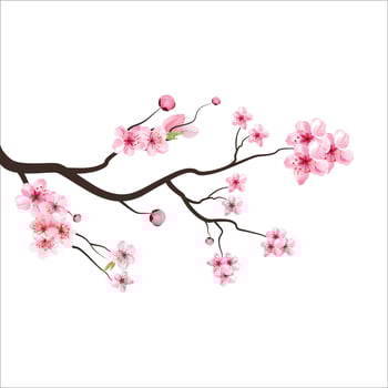branch tree vector illustration summer clipart autumn clipart nature forest, Background cherry blossom spring flower Japan,  Branch of blooming sakura with flowers, cherry blossom