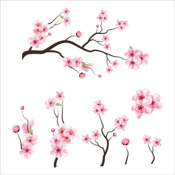 branch tree vector illustration summer clipart autumn clipart nature forest, Background cherry blossom spring flower Japan,  Branch of blooming sakura with flowers, cherry blossom
