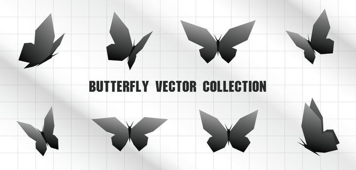 black butterfly graphic vector art set in modern minimal style