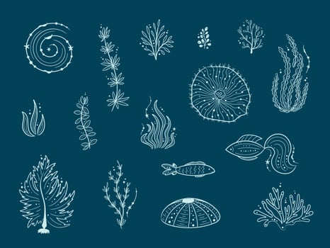 Silhouettes of sea life outline isolated on dark blue background. Vector Hand drawn illustrations of engraved line. Collection of sketches jellyfish, fish, seaweed, corals, seashells, sea urchin