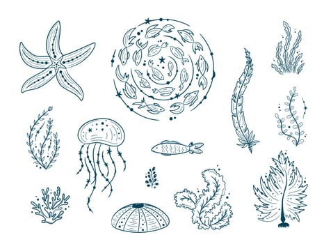 Silhouettes of sea life outline isolated on white background. Vector Hand drawn illustrations of engraved line. Collection of sketches jellyfish, fish, seaweed, corals, seashells, sea urchin
