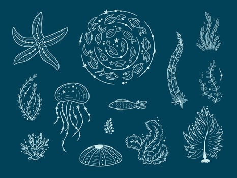 Silhouettes of sea life outline isolated on dark background. Vector Hand drawn illustrations of engraved line. Collection of sketches jellyfish, fish, seaweed, corals, seashells, sea urchin