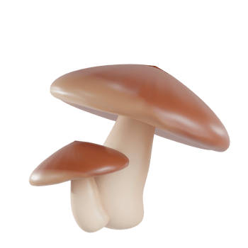 3d render mushroom object with transparent background png
