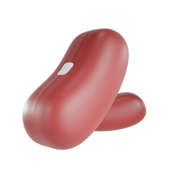 3d render red beans object with transparent background png