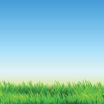 Field Green Grass Countryside Landscape Vector