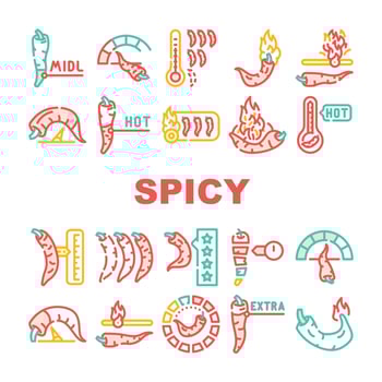 Spicy Pepper Different Scale Icons Set Vector