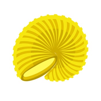 Seashell sea shell clam blue and yellow Vector illustration isolated on white background