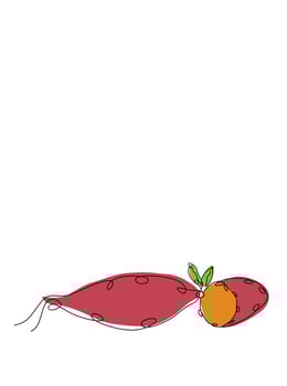 Vector illustration of a sweet potato. One line art design. On a white background.