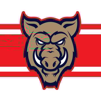 Wild hog or boar head mascot, colored version. Great for sports logos and team mascots. vector