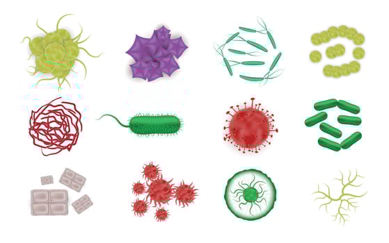 Bacteria Shapes Realistic Icons vector