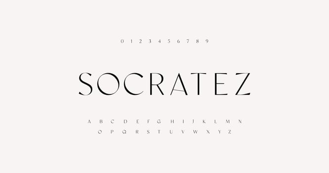 Elegant and luxury alphabet letters font and number. serif Classic elegant Lettering Minimal Fashion Designs. Typography fonts regular uppercase . vector illustration