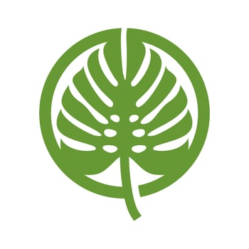Monstera leaf vector icon. Tropical Green leaf icon