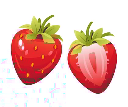 Vector illustration of strawberries. Sliced strawberries, Ripe berries