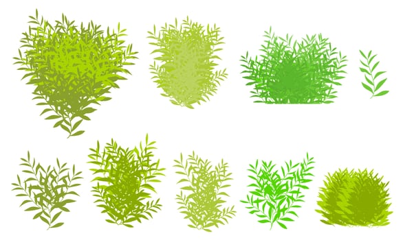 bush, green bush vector
