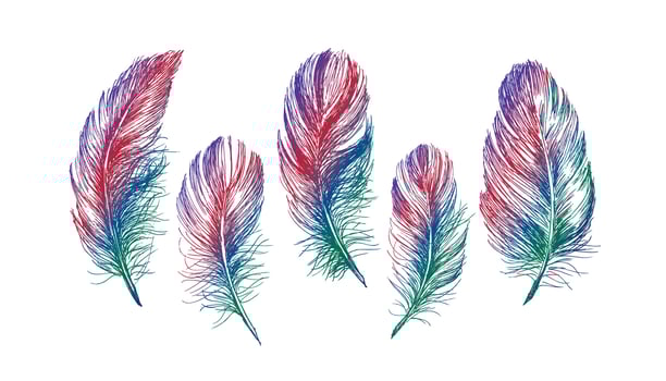 Feather Pattern hand drawn, vector. vector