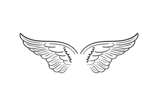 Vintage Spread Angel or Eagle Hawk Falcon Dove Pigeon Bird Wings Illustration Logo Design Vector