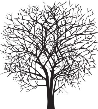 Dark single silhouette tree shape of a floral tree for the posters, shirts and designs png