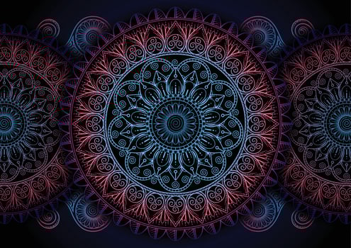mandala ornament background vector