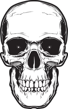 The image of the skull. Vector illustration. Isolated on white.