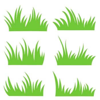 green grass vector