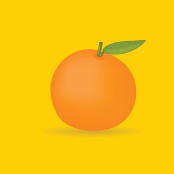 Orange Fruit Vector Illustration
