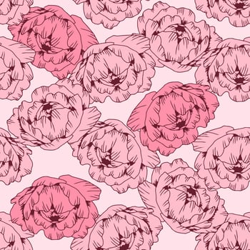 Hand drawn pink pattern peony flower, isolated on white. Vector line art elegant floral seamless composition in vintage style, t-shirt, tattoo design, wedding decoration.